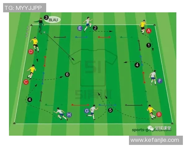 足球漏鸟现象解析与影响探讨如何提升球队战术水平与球员素养 足球漏鸟现象解析与影响探讨如何提升球队战术水平与球员素养